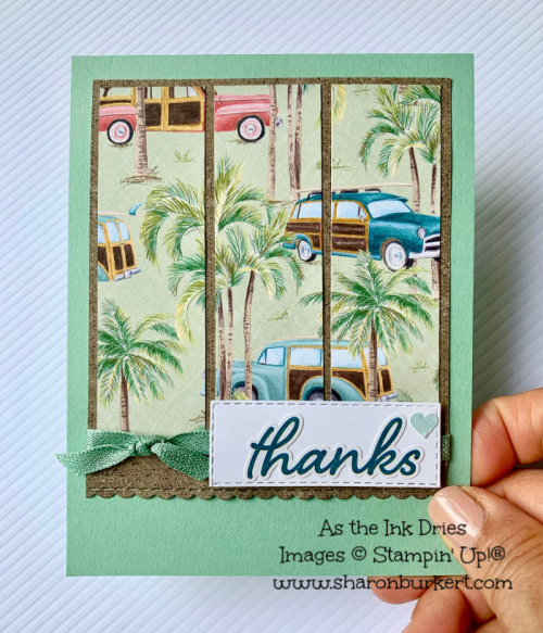 ASID-TropicalOasisDSP-panel