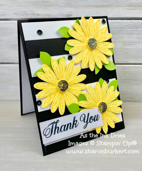 ASID-DaisyDelight-BWside ASID-DaisyDelight-BWside