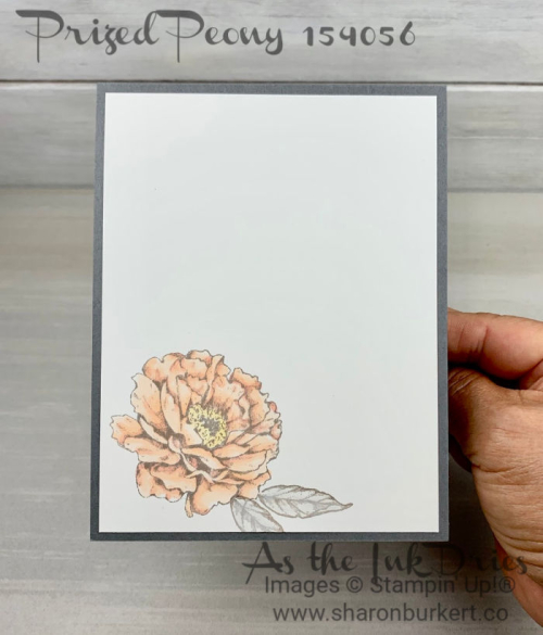 ASID-ICS-PrizedPeonyin