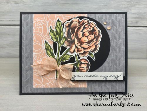 ASID-CCMC625-PrizedPeony