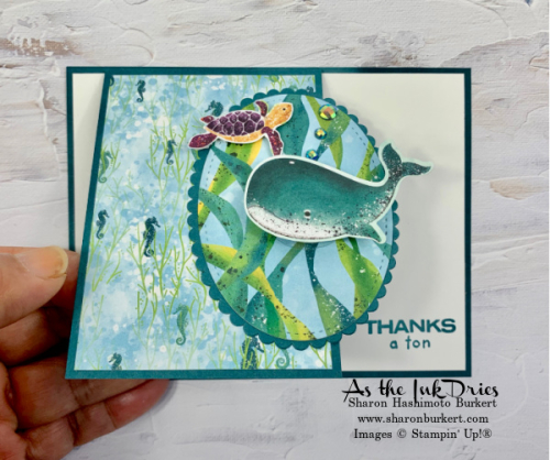 WhaleDone-flapup WhaleDone-flapup