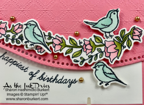 QuiteCurvy-11:1-close