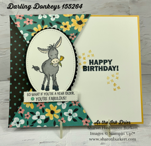 DarlingDonkeys-1_5-open