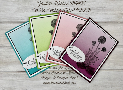 GardenWishes-OhSoOmbre-All