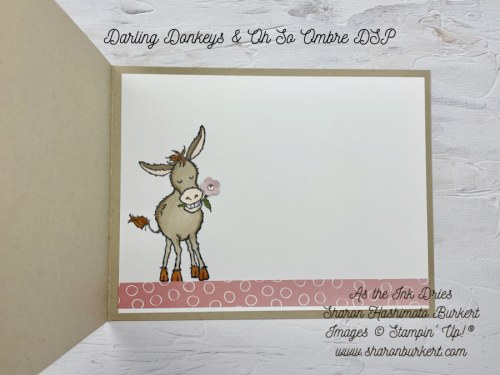 DarlingDonkeys-2_27-insie