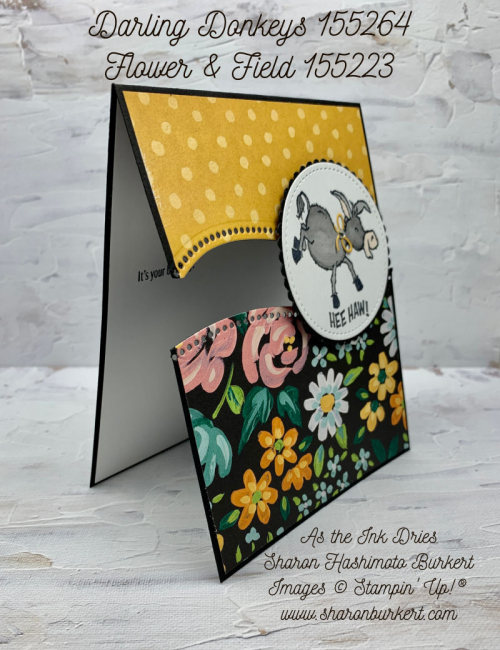 DarlingDonkeys-Flower&Field-side2 DarlingDonkeys-Flower&Field-side2