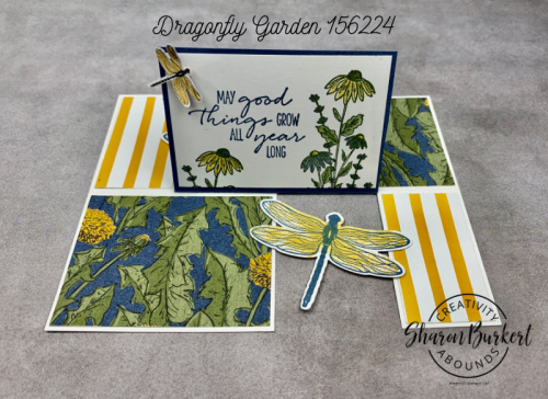 DragonflyGarden-Impossible-front DragonflyGarden-Impossible-front