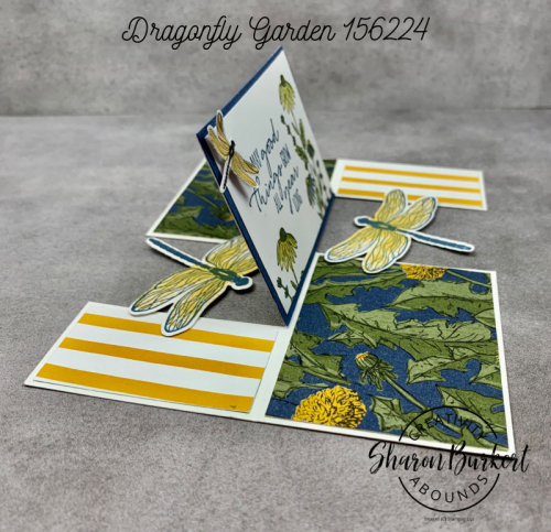 DragonflyGarden-Impossible-side DragonflyGarden-Impossible-side