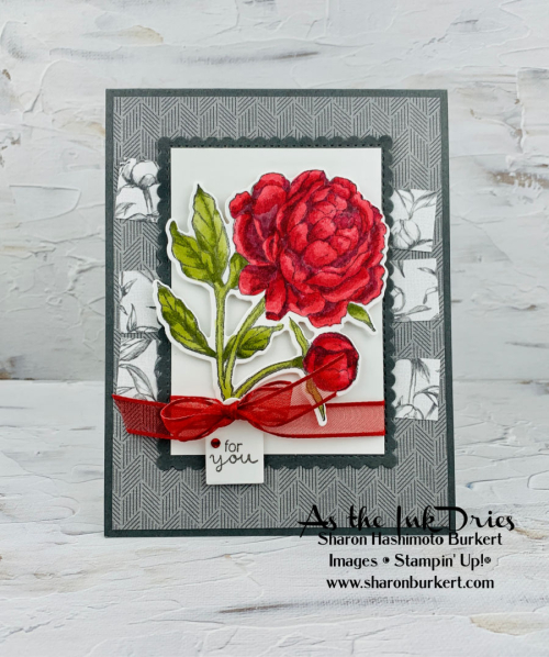 PrizedPeony-SDBH655 PrizedPeony-SDBH655