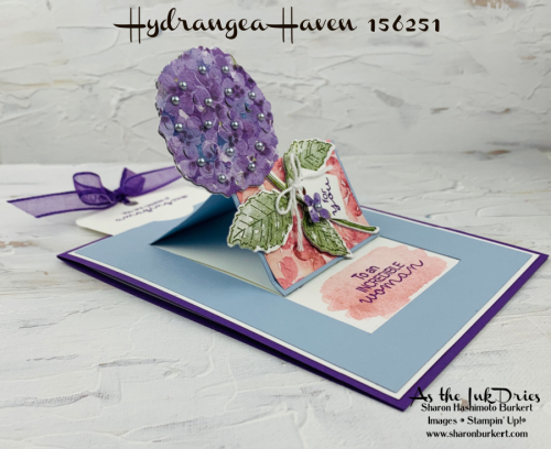 HydrangeaHaven-CCMC654-sideopen