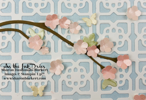 CherryBlossom-closeup