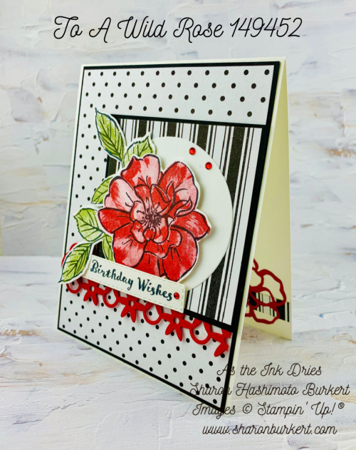 ToaWildRose-IttyBittyBirthdays-astheinkdries