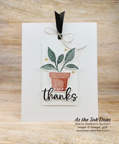 PlentifulPlants-step2 PlentifulPlants-step2