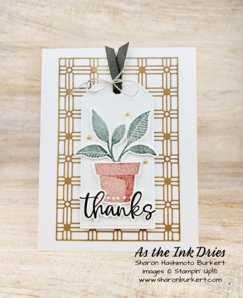 PlentifulPlants-step3 PlentifulPlants-step3