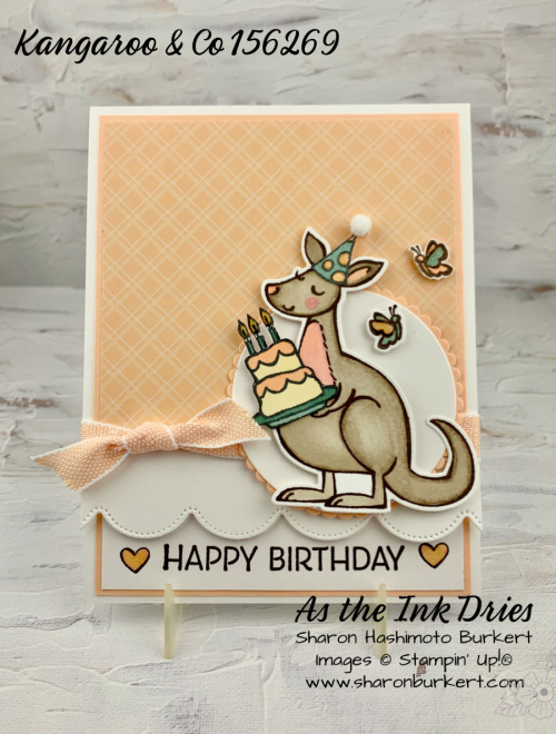 Kangaroo&Co-ICS Kangaroo&Co-ICS