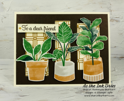 PlentifulPlants-July30