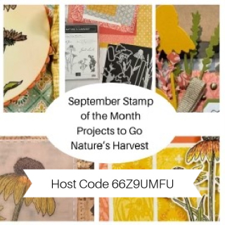 SeptSOM-hostcode SeptSOM-hostcode