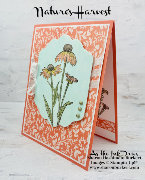 NaturesHarvest-CCMC685-side