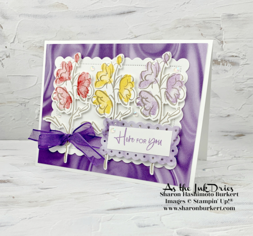 Stampin'Up!Color&Contour-12_19-side