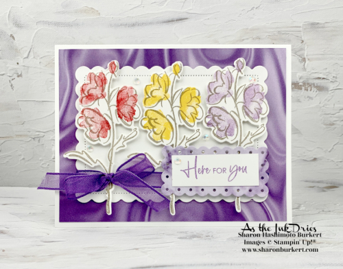 Stampin'Up!Color&Contour-12_19