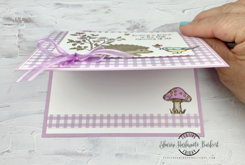 HedgehogHappiness-FF101-open