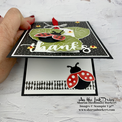 Hello_Ladybug-SDBH-open