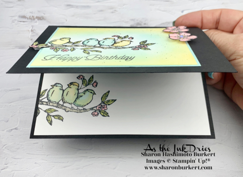 Free_as_a_Bird-CCMC-open