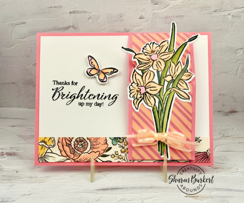 DaffodilDaydream-CAhop-flat