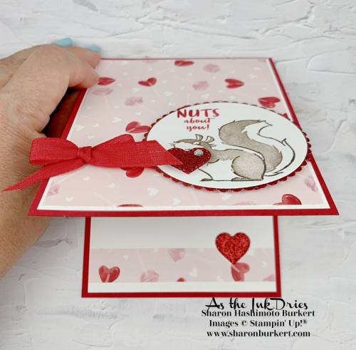 NutsAboutSquirrels-FF-open