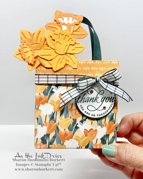 Daffodils-CCMC Daffodils-CCMC