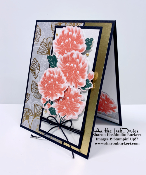 SymbolsofFortuneDSP-side SymbolsofFortuneDSP-side