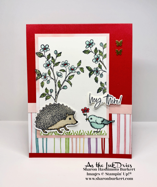 HappyHedgehog-CCMC719 HappyHedgehog-CCMC719