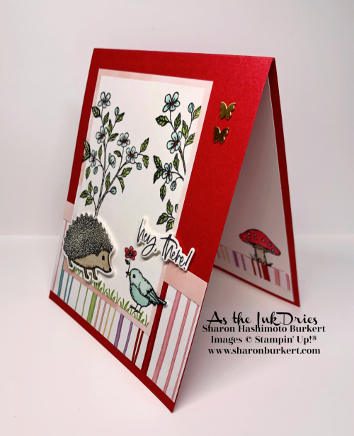 HappyHedgehog-CCMC719-side HappyHedgehog-CCMC719-side