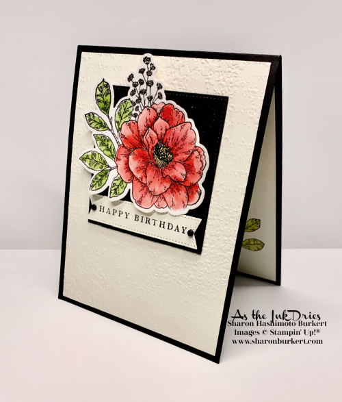 CottageRose-Birthday1 CottageRose-Birthday1