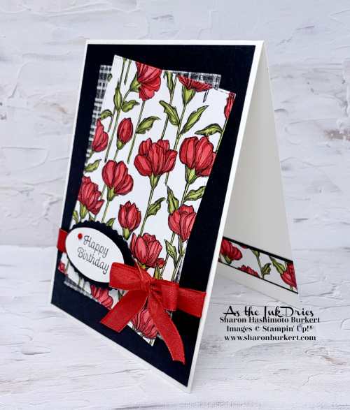 PerfctlyPenciled-CCMC-side