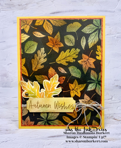 RusticHarvest-FondofAutumn-SDBH