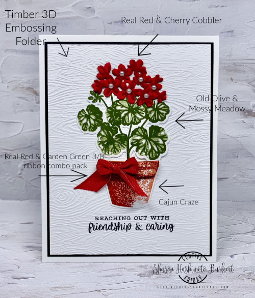 PottedGeraniums-TImberEF-supplies