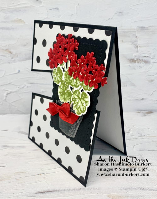 PottedGeraniums-CCMC-side PottedGeraniums-CCMC-side