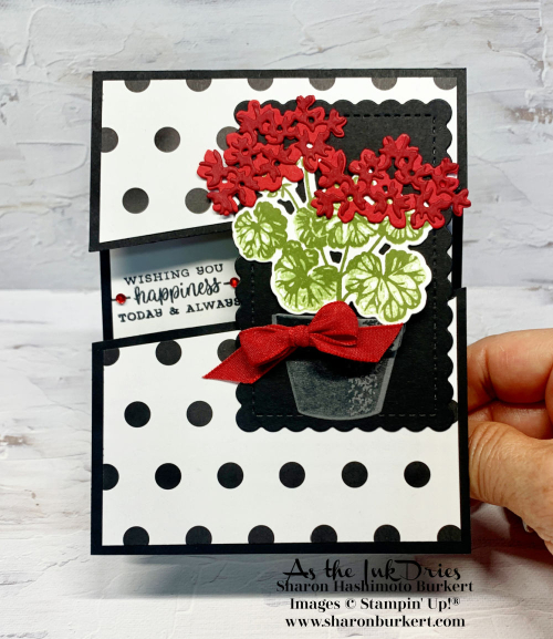 PottedGeraniums-CCMC PottedGeraniums-CCMC