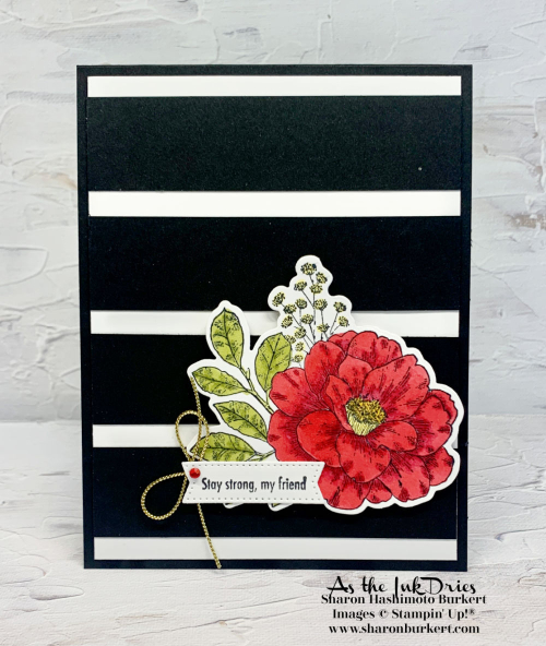 CottageRose-AWOW CottageRose-AWOW