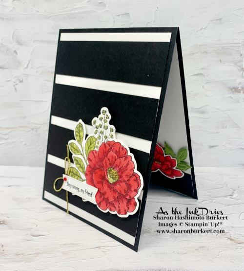 CottageRose-AWOW-side CottageRose-AWOW-side