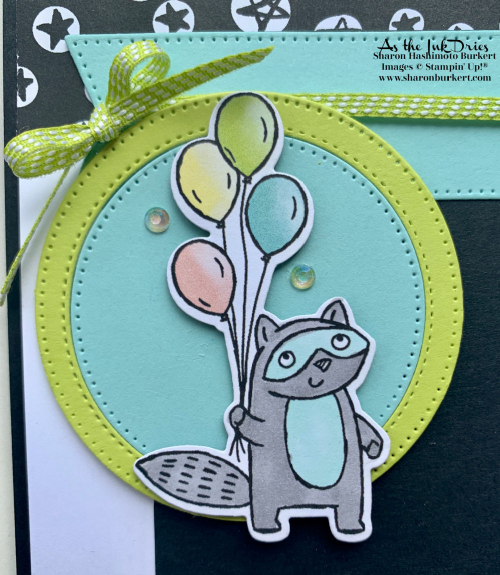 ZanyZoo_ZooCrewDSP_close