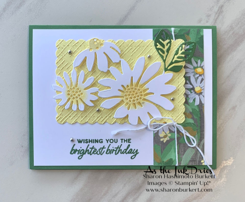 CheerfulDaisy_BrightestBirthday