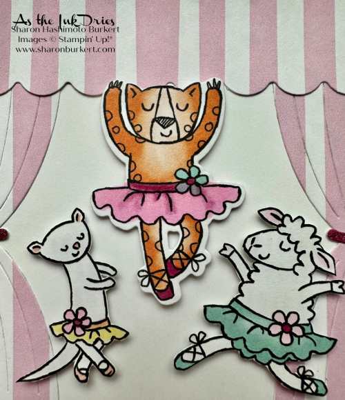 ZanyZoo_CCMC773_close