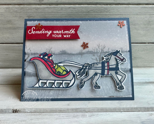 Horse&Sleigh_OneHorseOpenSleighDSP Horse&Sleigh_OneHorseOpenSleighDSP