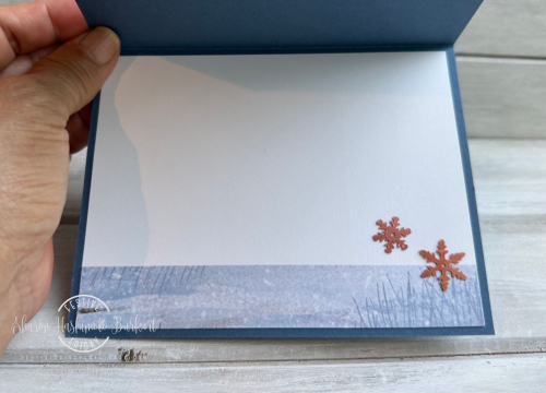 Horse&Sleigh_OneHorseOpenSleighDSP_inside Horse&Sleigh_OneHorseOpenSleighDSP_inside