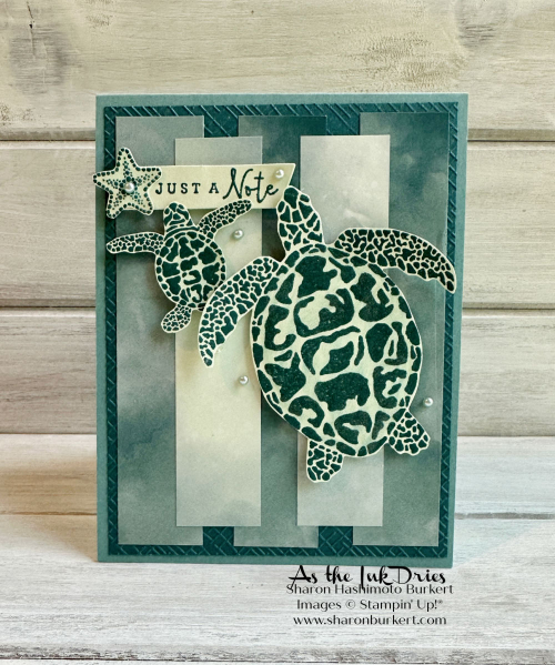 SeaTurtle_HelloIrresistibleDSP