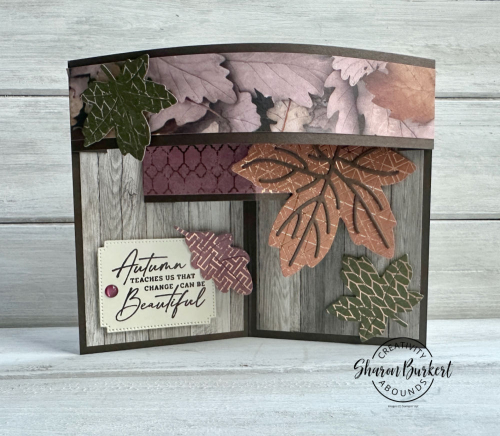 AutumnLeaves_AllAboutAutumnDSP AutumnLeaves_AllAboutAutumnDSP