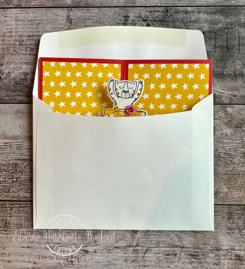 ZanyZoo_OnStage_envelope ZanyZoo_OnStage_envelope