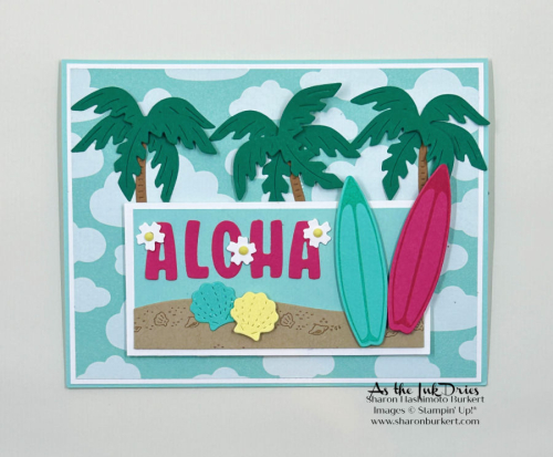 BeachDay_SunnyDaysDSP